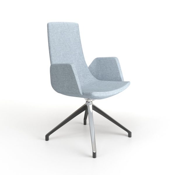 Scaun Vizitator North Cape