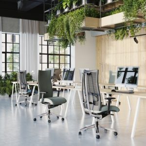 Scaun Directorial Action