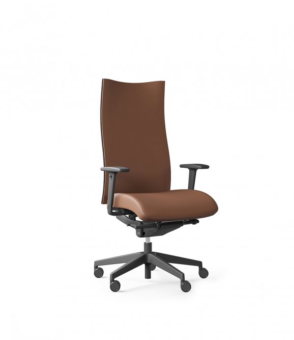 Scaun Directorial Action