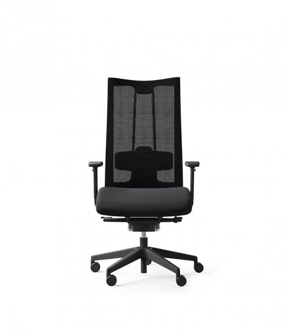 Scaun Directorial Action