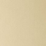 Arizona Beige Butterfly